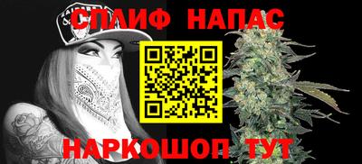 дмт Донской