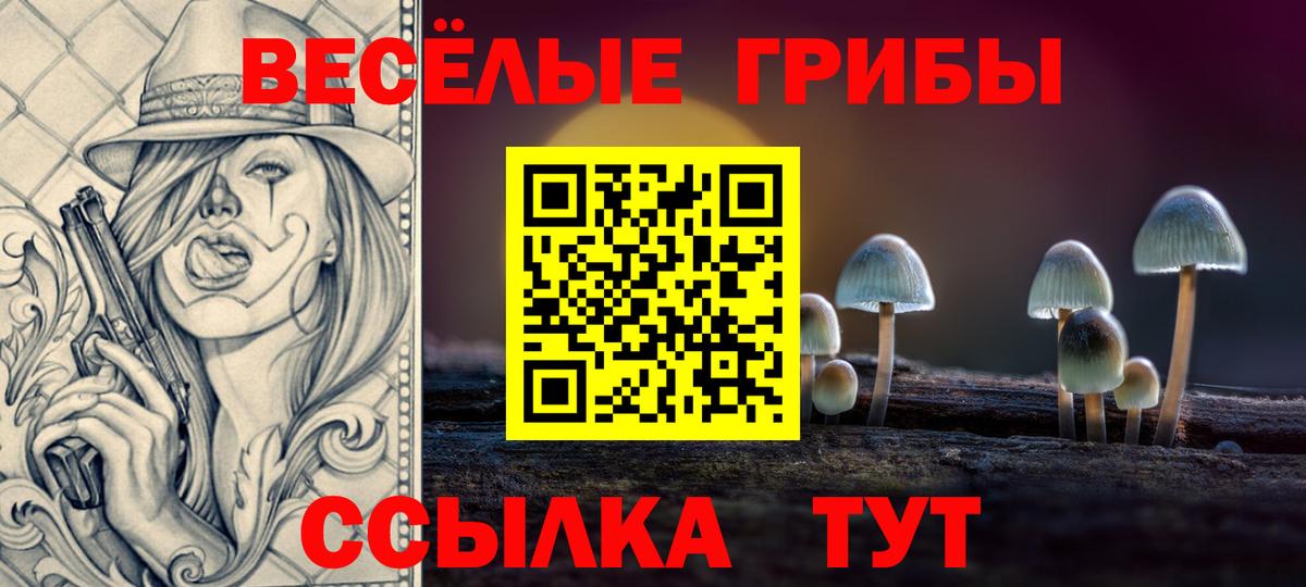 Галлюциногенные грибы Psilocybe  что такое наркотик  Якутск  Вход с VPN  Псилоцибиновые грибы MAGIC MUSHROOMS 